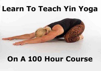 Yin Yoga Teacher Training Yin Yoga Teacher Training