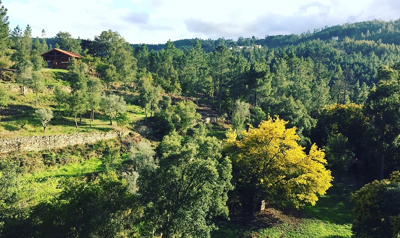 Yoga Retreat Center For Sale in Portugal Europe